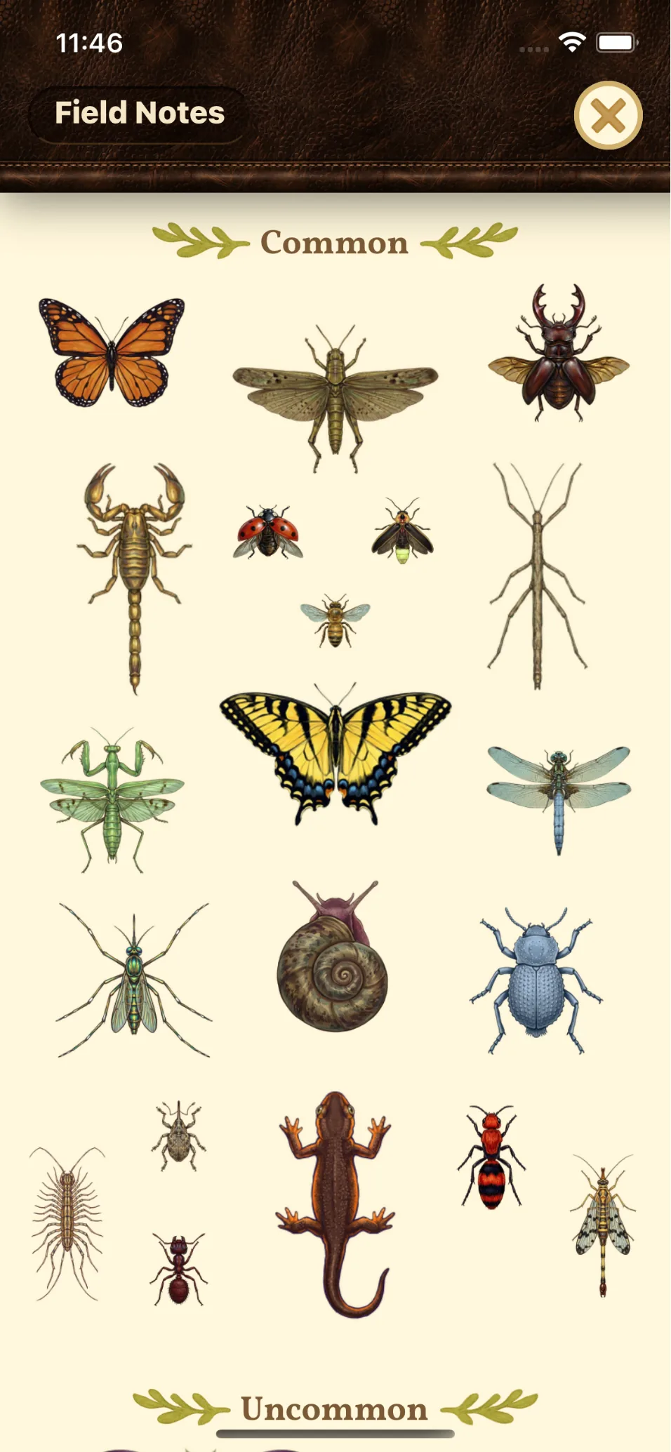 The Field Notes collection grid of common critters — monarch butterfly, grasshopper, stag beetle, scorpion, ladybird, firefly, honeybee, stick insect, praying mantis, tiger swallowtail, dragonfly, snail and more — with an Uncommon section below.