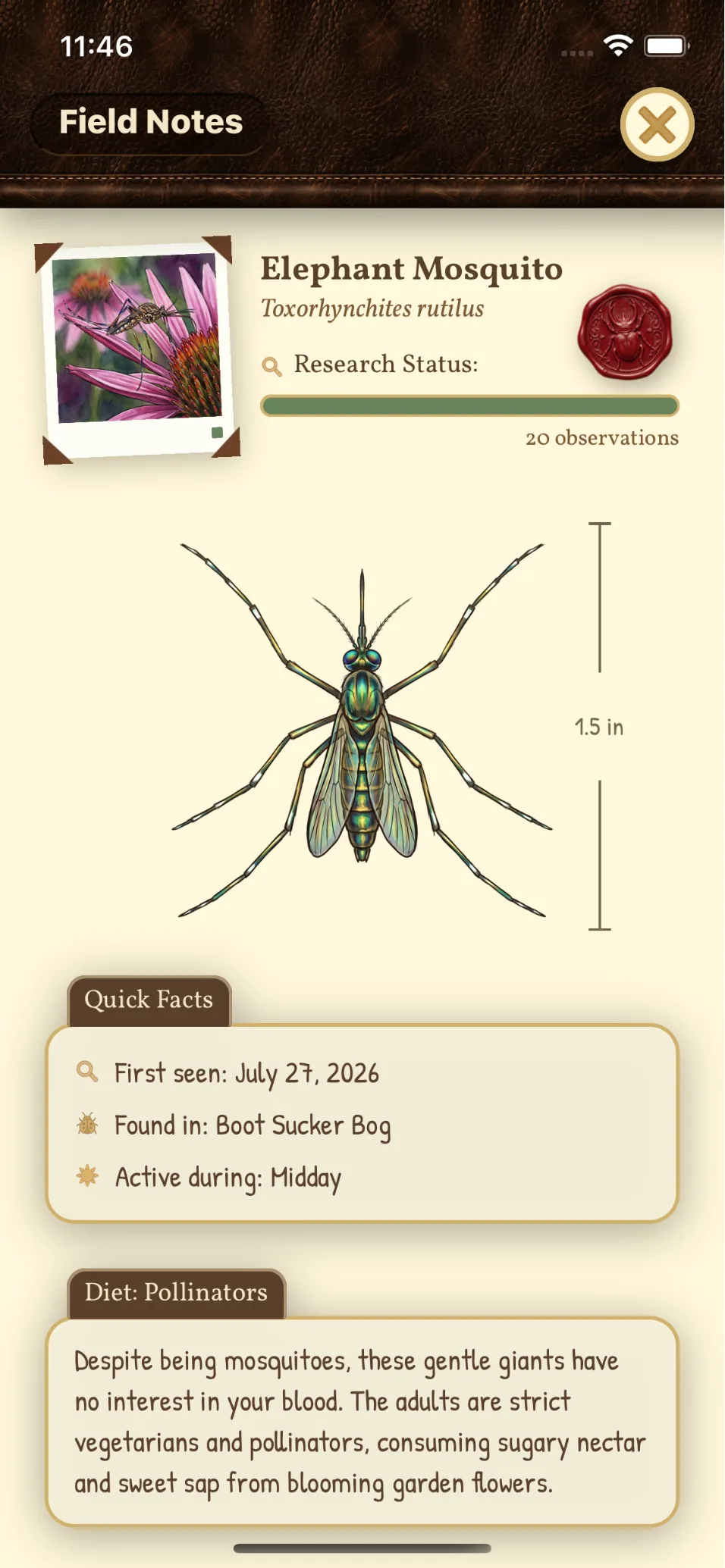 The Elephant Mosquito field note: Toxorhynchites rutilus, 1.5 inches long, first seen in Boot Sucker Bog, active at midday — and a note that despite being mosquitoes they are pollinators with no interest in your blood.