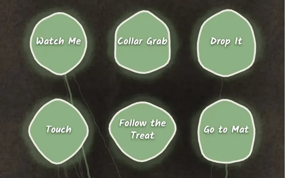 The Kindred word tree showing mastered words like Sit, Down, Touch, Watch Me, and Find It as green nodes connected by branches, with Come still grey and unlearned.