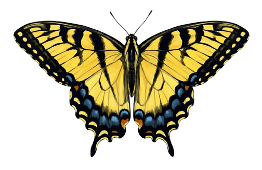 An illustration of a Eastern Tiger Swallowtail, Papilio glaucus